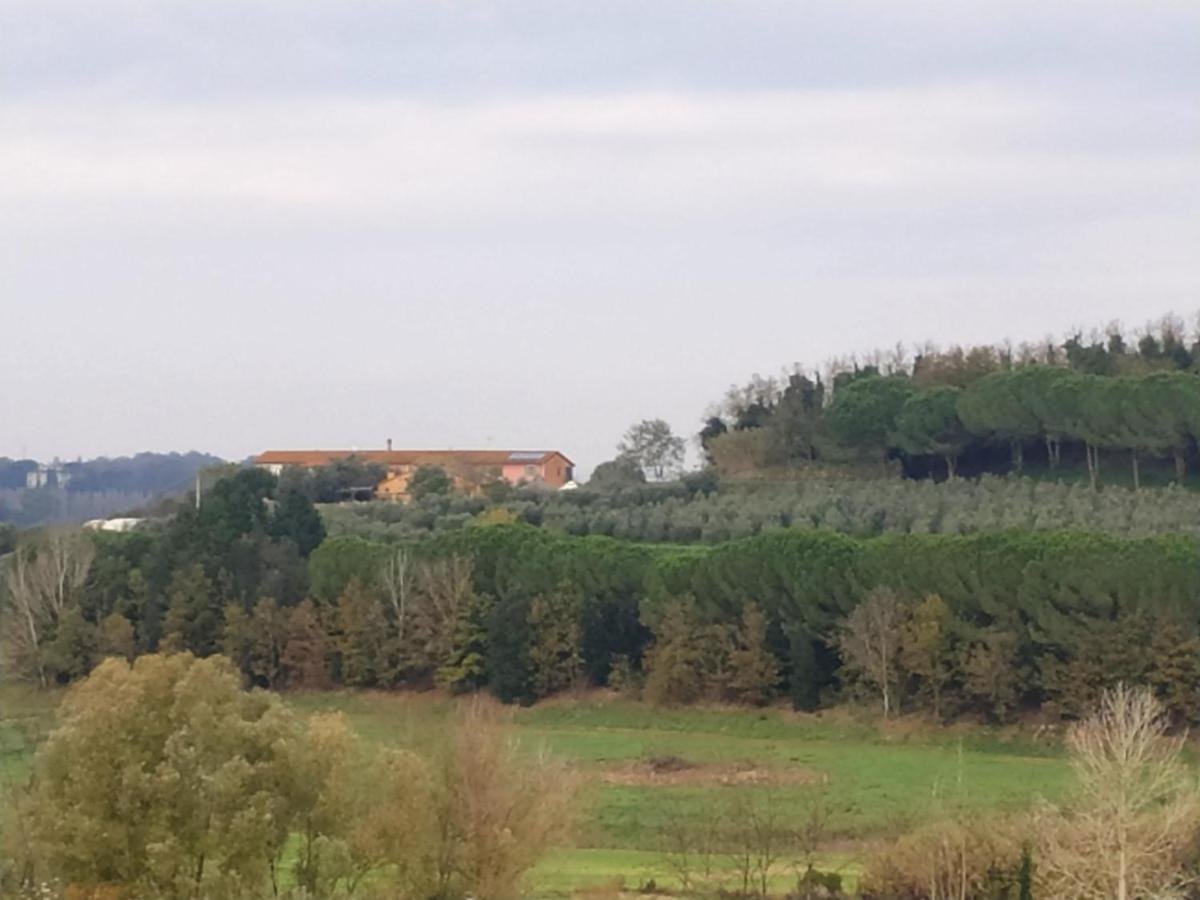 Agriturismo L'Isola Crespina Dış mekan fotoğraf