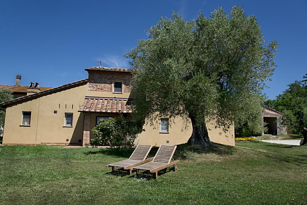 Agriturismo L'Isola Crespina Oda fotoğraf