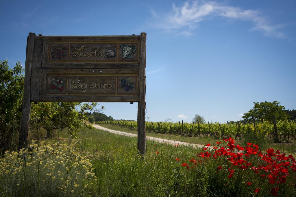 Agriturismo L'Isola Crespina Oda fotoğraf