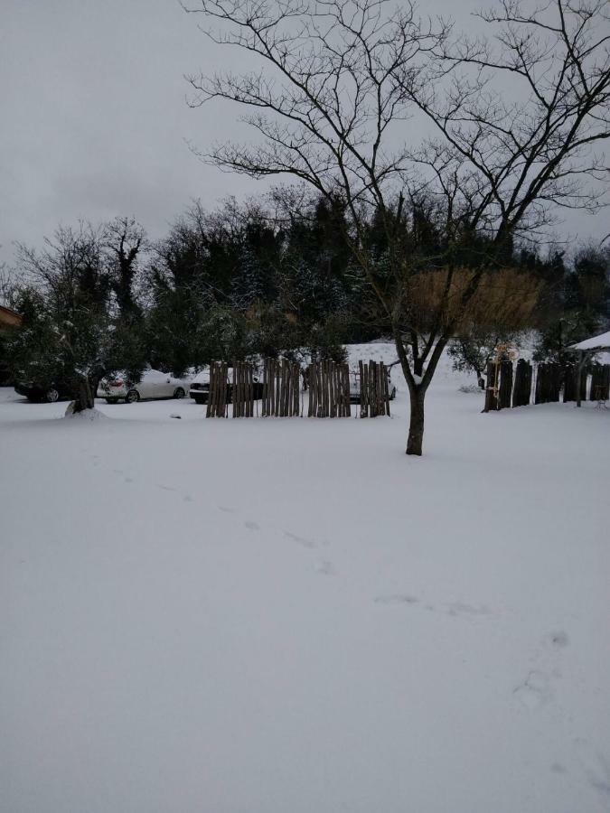 Agriturismo L'Isola Crespina Dış mekan fotoğraf